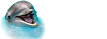 Dolphin Show Kemer 2025 Prices